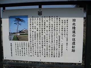 photo-20100503-50