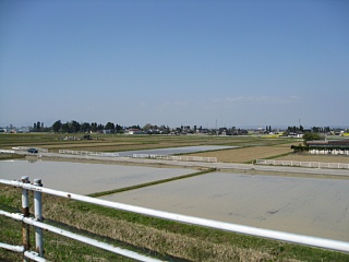 photo-20100503-6