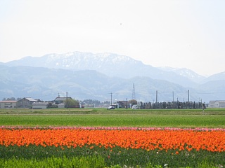 photo-20100503-9