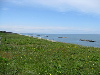 photo-20100530-9