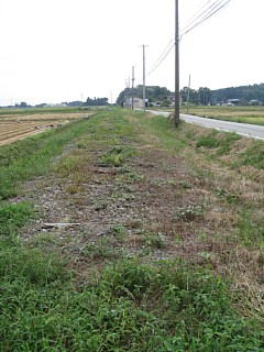 photo-20100920-10