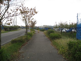 photo-20101106-50