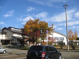 photo-20101107-2