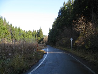 photo-20101205-26