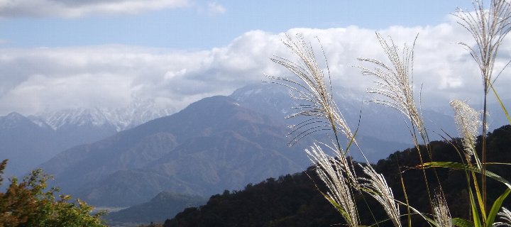 photo-20121104-0