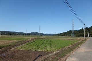 photo-20131014-6