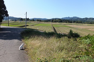 photo-20131014-7