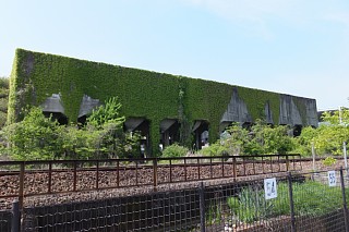 photo-20140426-12