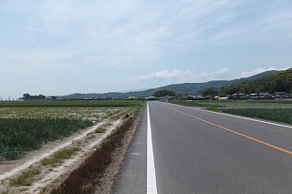 photo-20140426-29