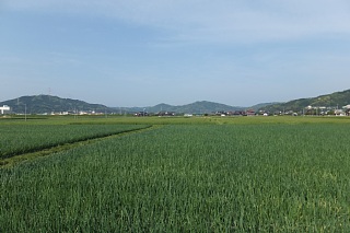 photo-20140426-5