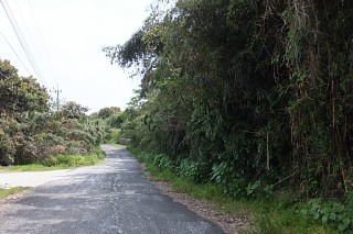 photo-20140426-52