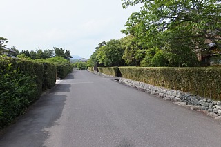 photo-20140427-20