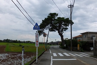 photo-20140812-12