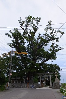 photo-20140812-28