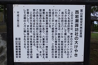 photo-20140812-29