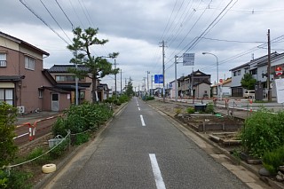 photo-20140812-34