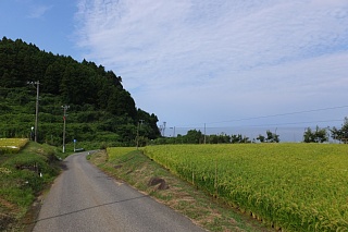 photo-20140812-58