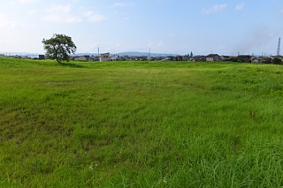 photo-20140812-68