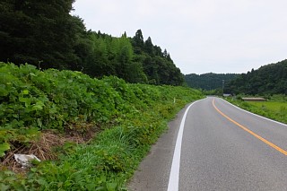 photo-20140813-27