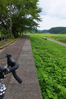 photo-20140813-28