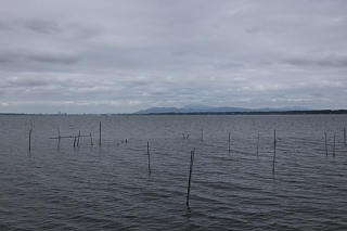photo-20140831-9