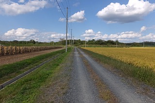 photo-20140921-111