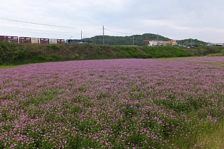 photo-20150428-26