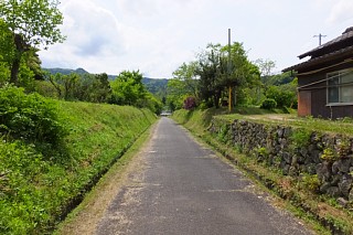 photo-20150429-108