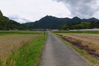 photo-20150429-109