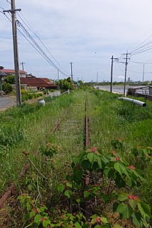 photo-20150429-11