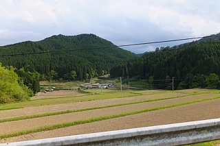 photo-20150429-110