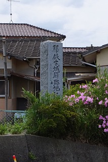 photo-20150429-42