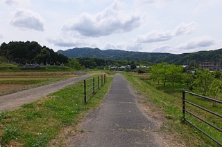 photo-20150429-45
