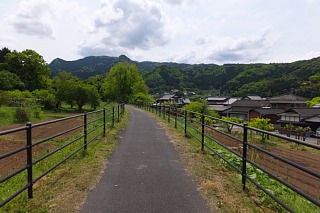 photo-20150429-48