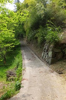 photo-20150429-64