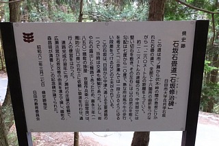 photo-20150429-83