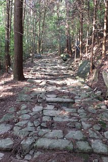 photo-20150429-84