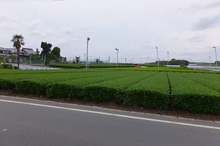 photo-20150430-102