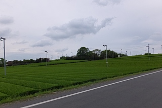 photo-20150430-17