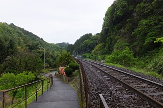 photo-20150430-7