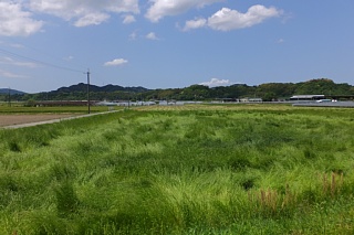 photo-20150501-12
