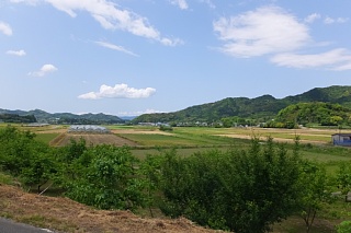photo-20150501-17