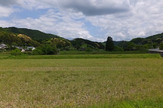 photo-20150501-30