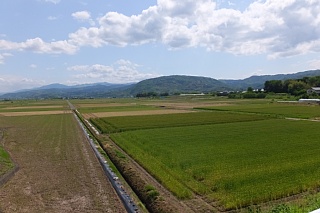 photo-20150501-4