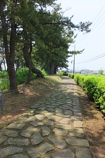 photo-20151024-28