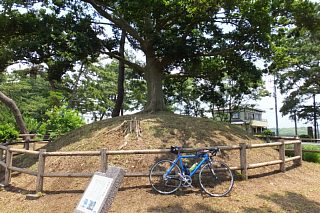 photo-20151024-29