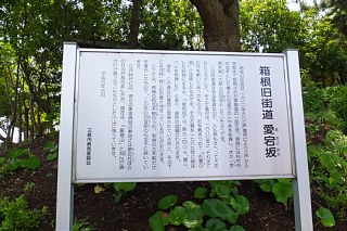 photo-20151024-31