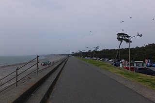 photo-20151024-43