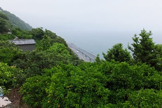 photo-20151024-78