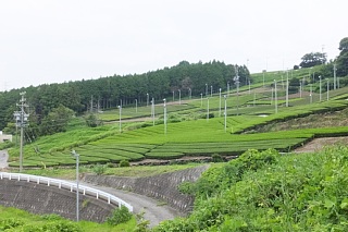 photo-20150614-102